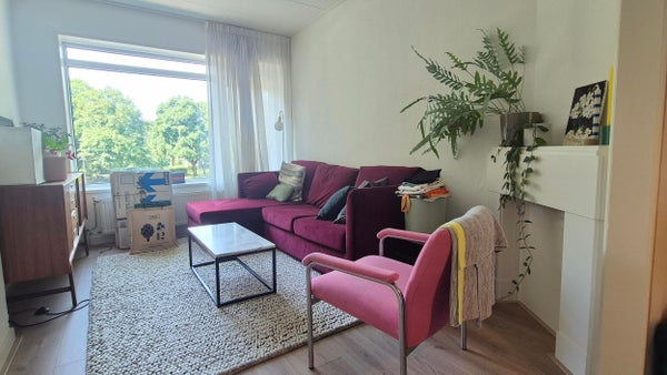 House Image 2