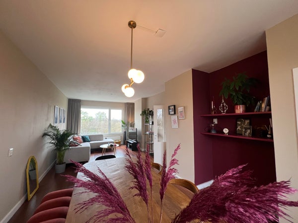 House Image 2