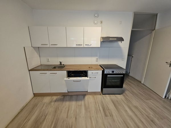 House Image 3