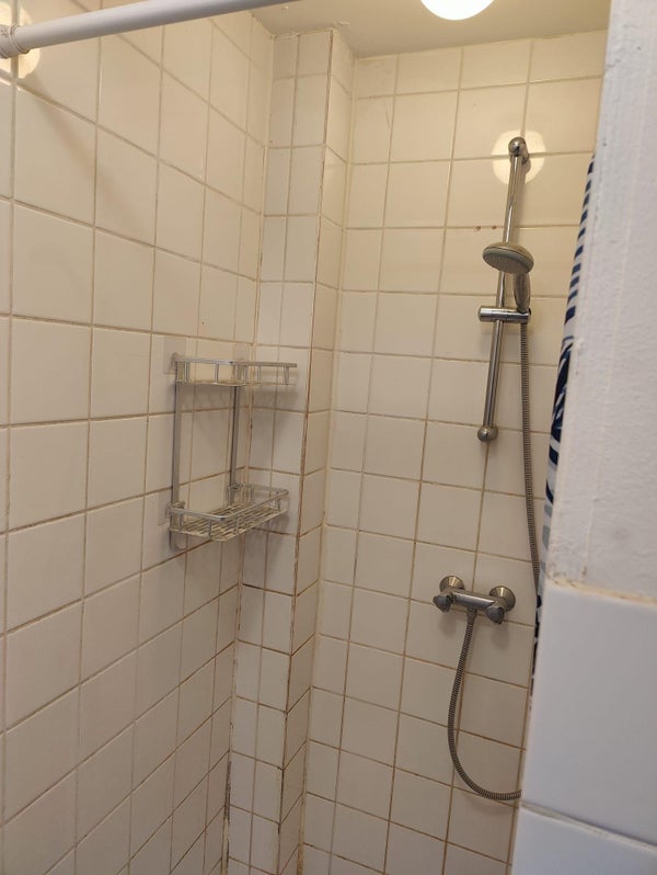 House Image 4