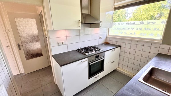 House Image 5
