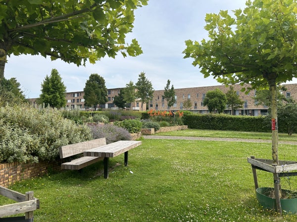 House Image 5
