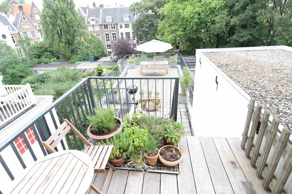House Image 2
