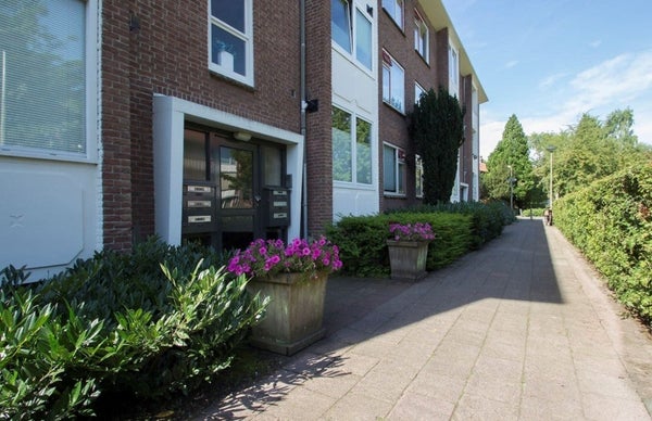 House Image 2