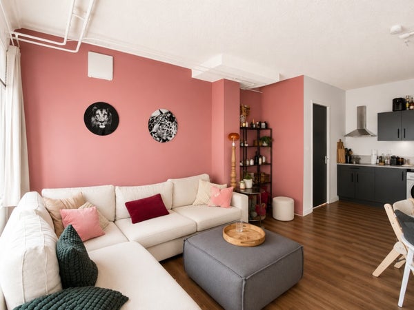 House Image 4