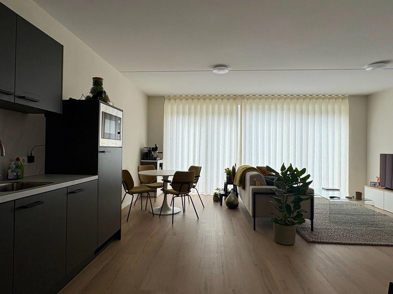 House Image 4