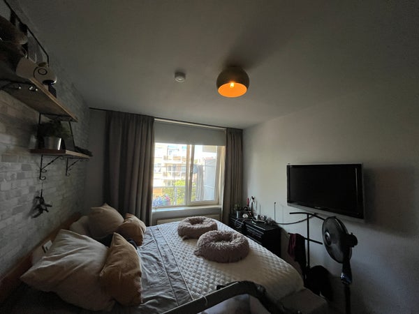 House Image 5