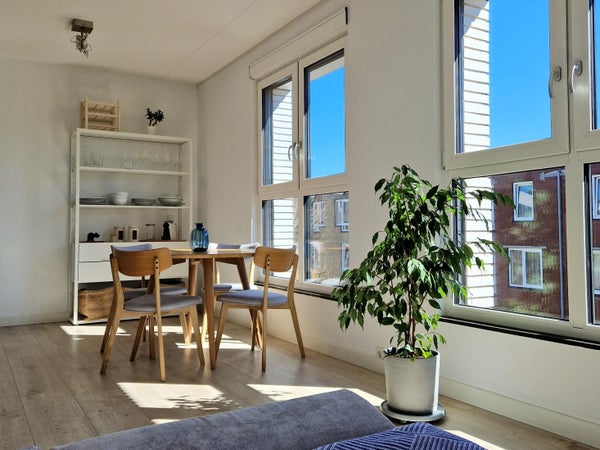 House Image 2