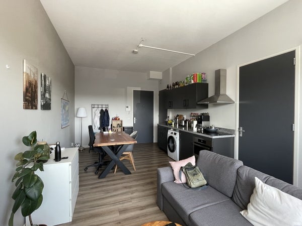 House Image 4