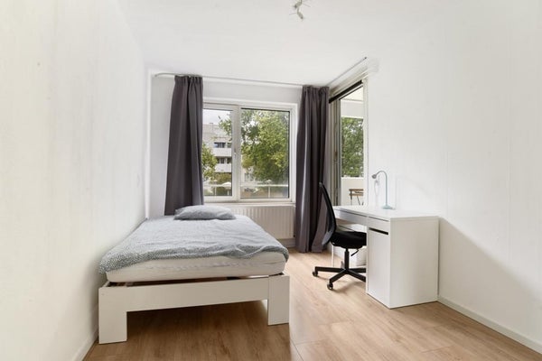 House Image 3