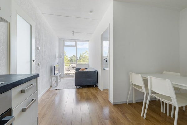 House Image 2