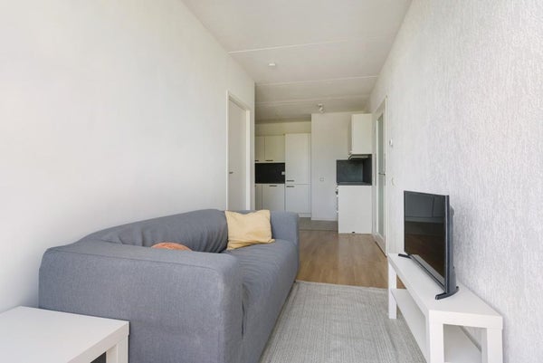 House Image 3