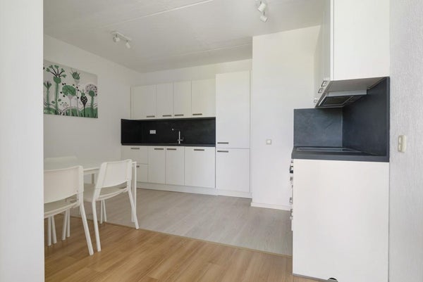 House Image 4