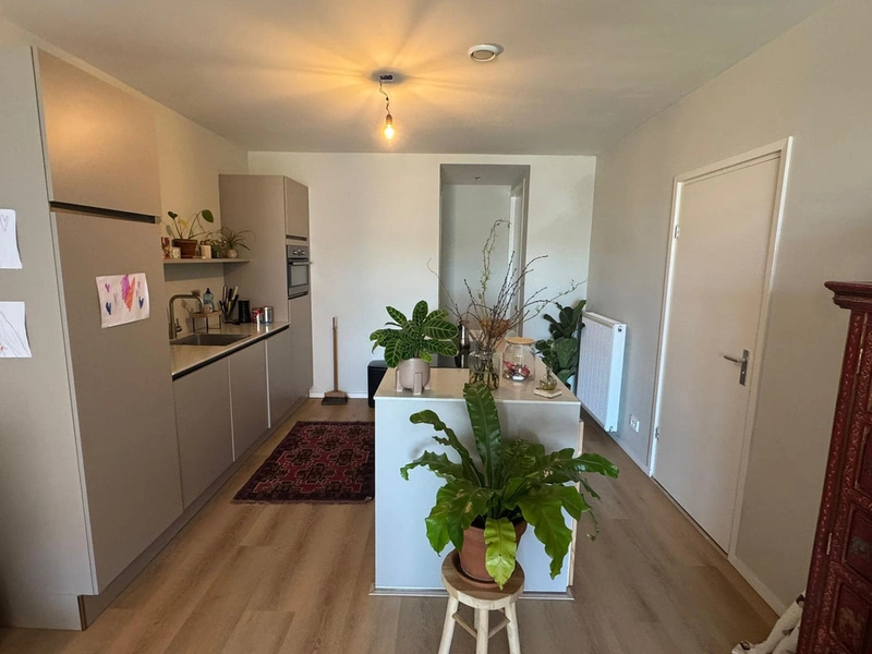 House Image 5
