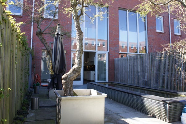House Image 4