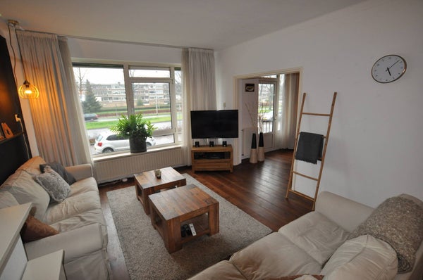 House Image 3