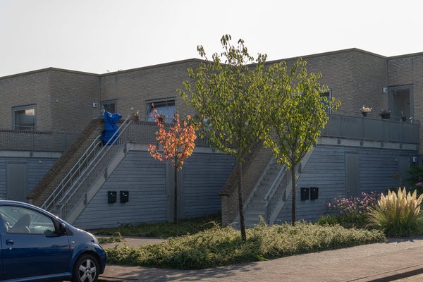 House Exterior