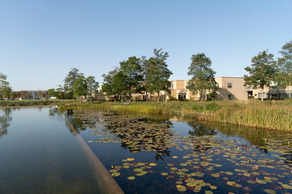 House Exterior