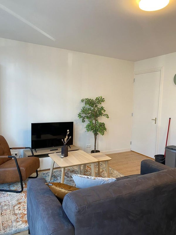 House Image 4