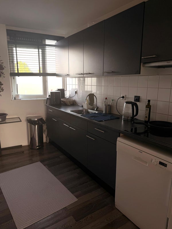 House Image 4