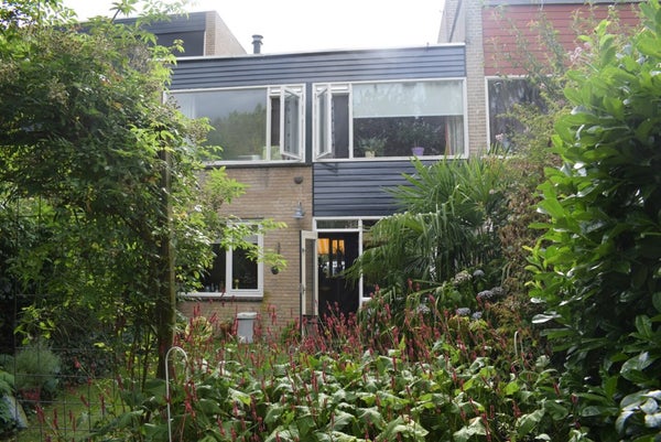 House Image 3