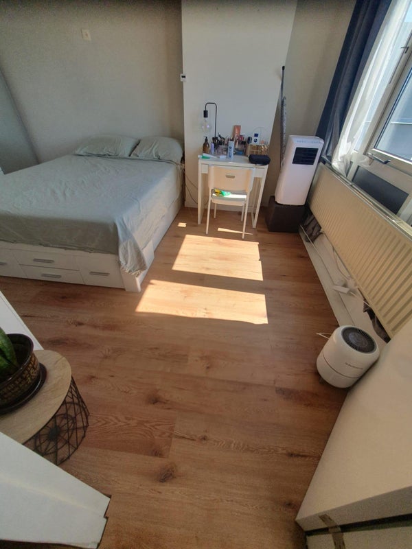 House Image 4