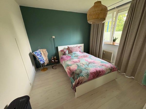 House Image 3