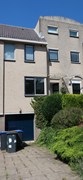 House Image 3