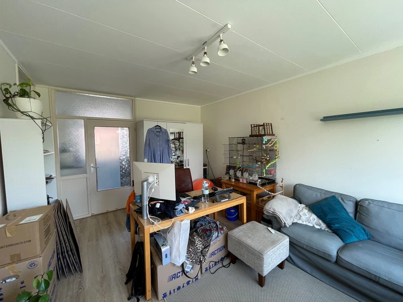 House Image 3
