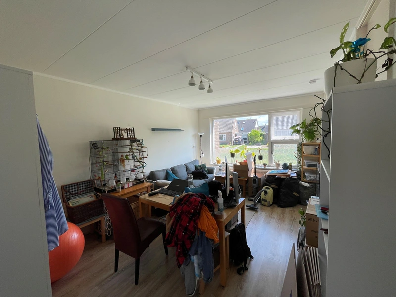 House Image 4