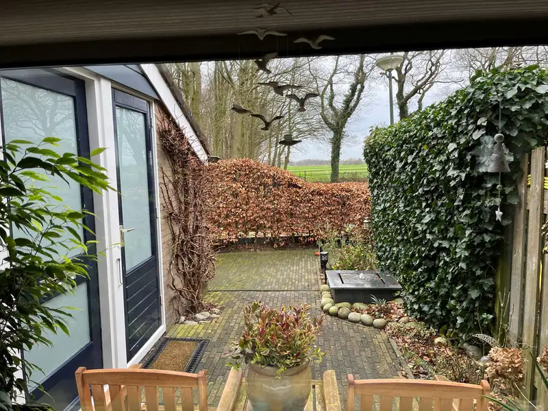 House Image 4