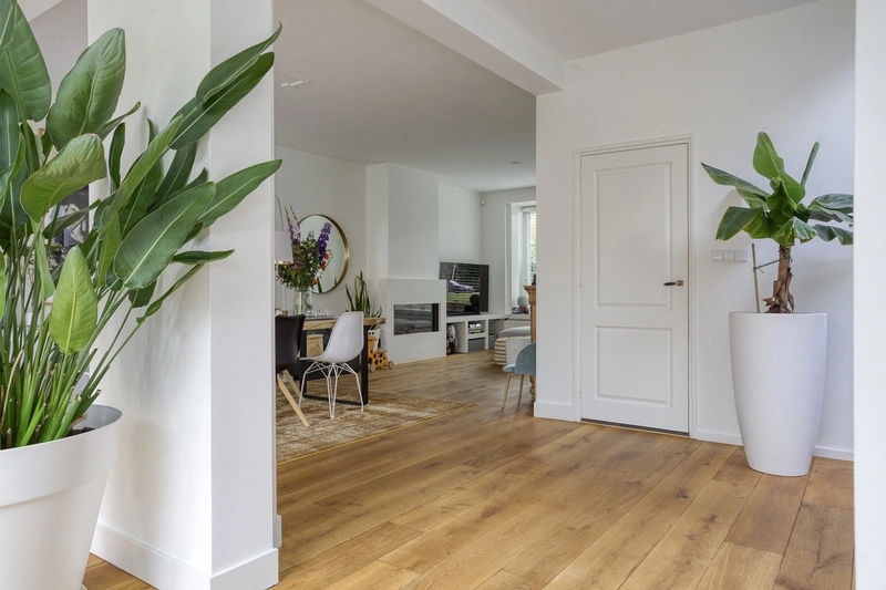 House Image 5