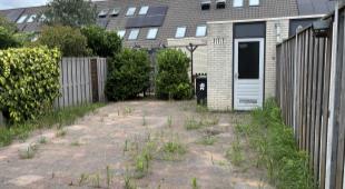 House Image 5