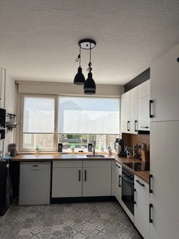 House Image 4