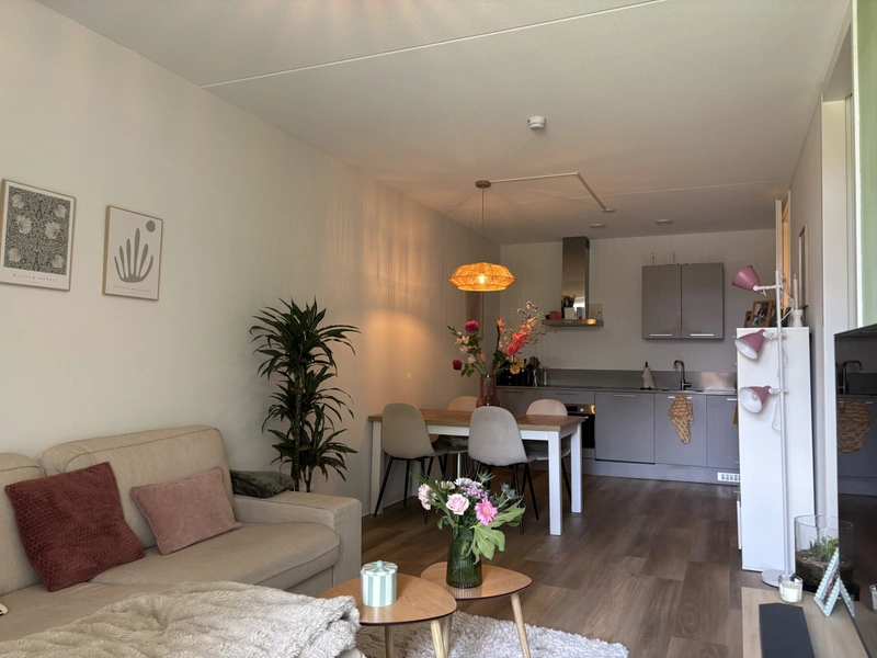 House Image 3