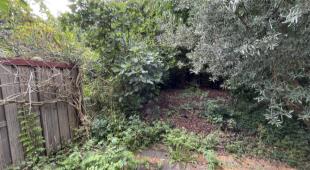 House Image 5