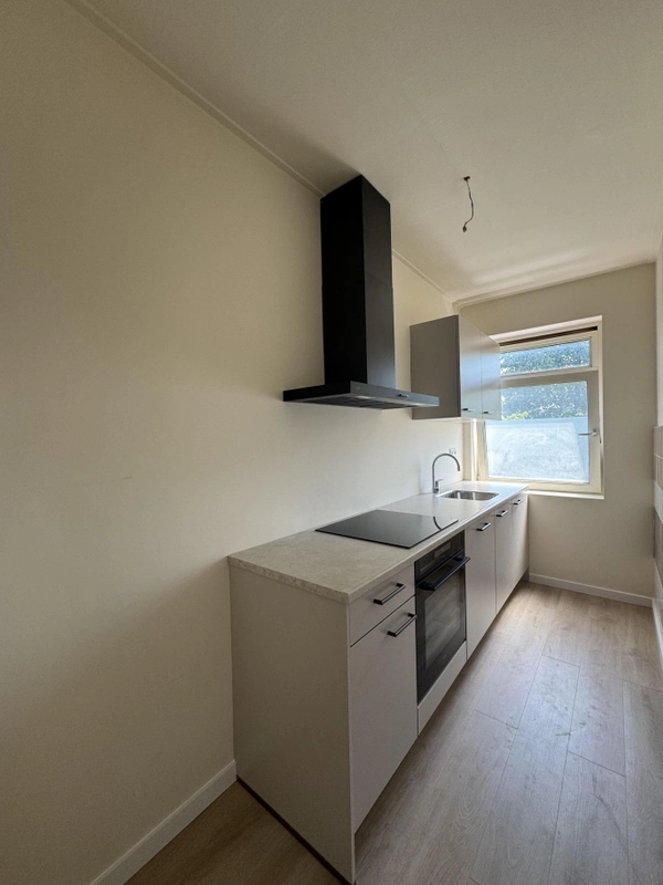 recent house