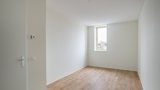 House Image 5