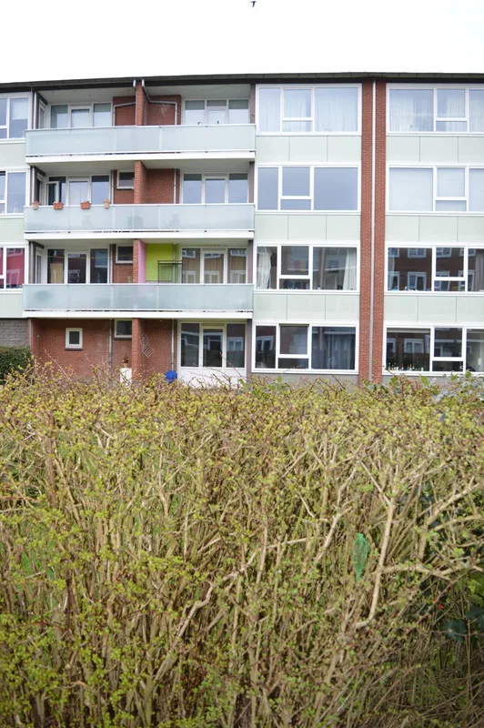 House Image 3