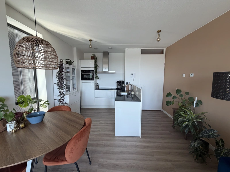 House Image 5
