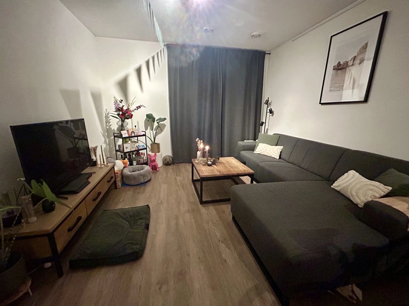 House Image 2