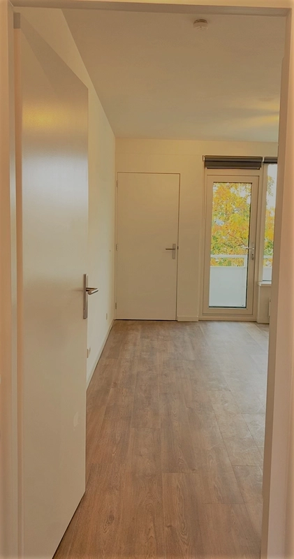 House Image 4
