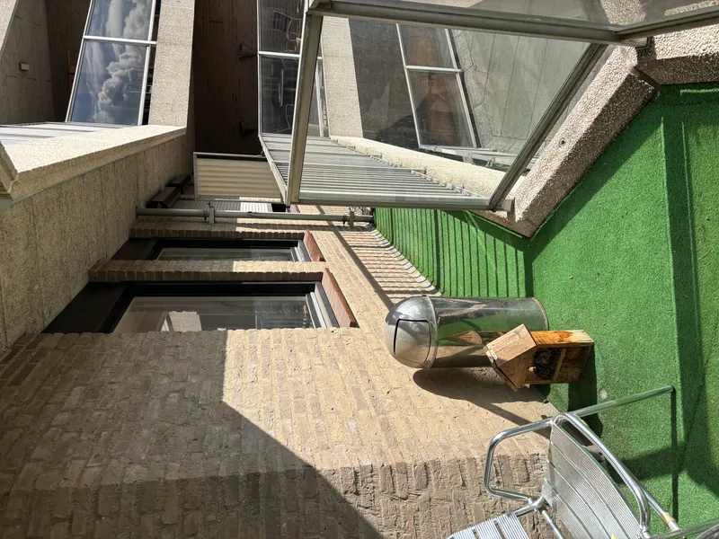 House Exterior