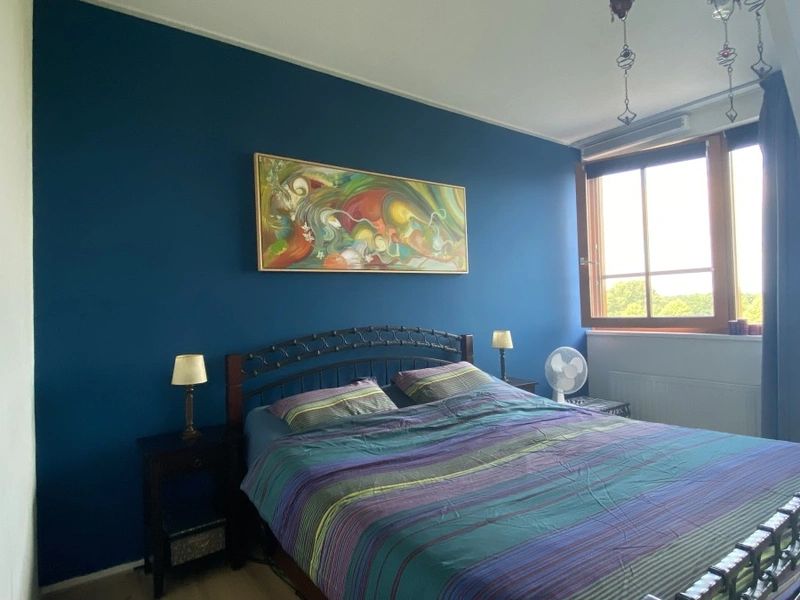 House Image 5