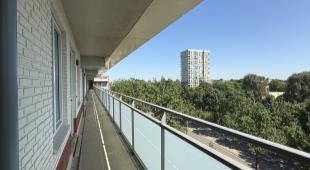 House Image 4