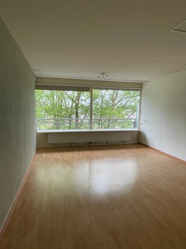 House Image 4