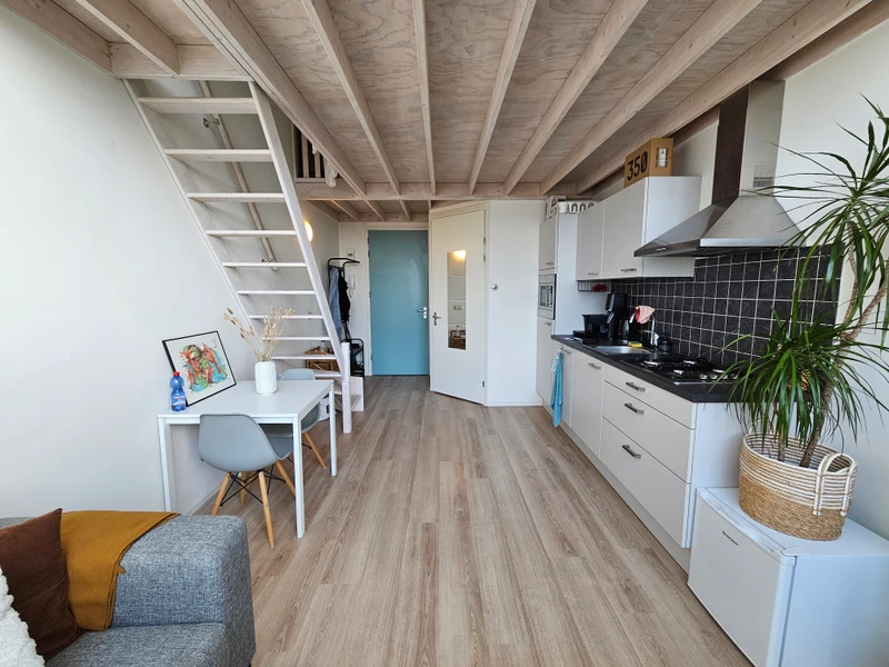 House Image 2