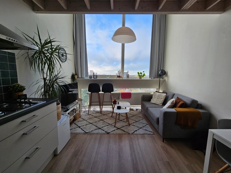 House Image 3