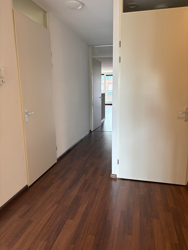House Image 4