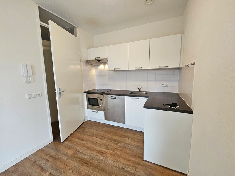 House Image 4